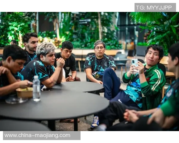 深度探讨刘强在DOTA2世界中的成长与挑战之路